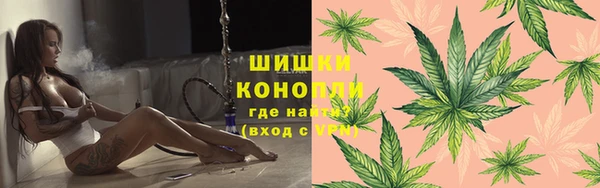 гидропоника Карпинск